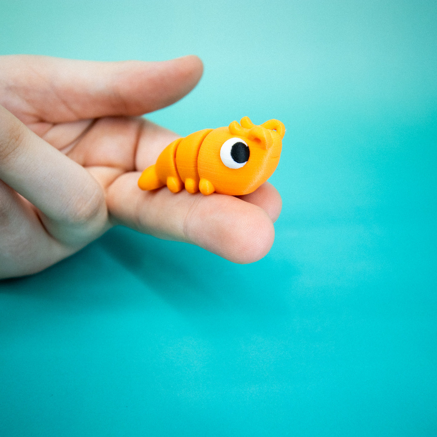 Pocket Pal: Shrimp