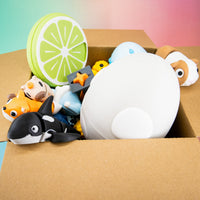 Bloopers: Quirky Gift and Toys Mystery Box